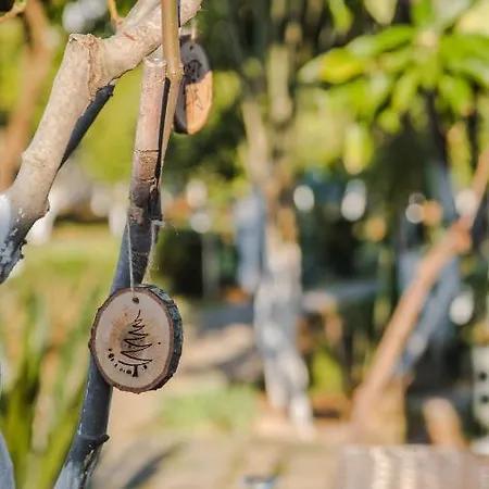 Séjour chez l'habitant Oase Garden Çıralı